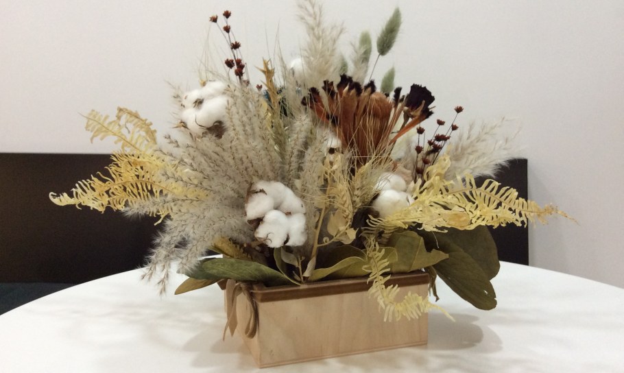 Берк сухоцвет