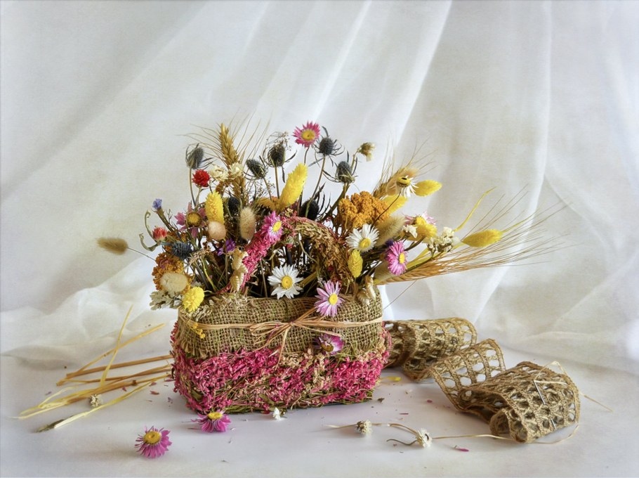 Скимия сухоцвет