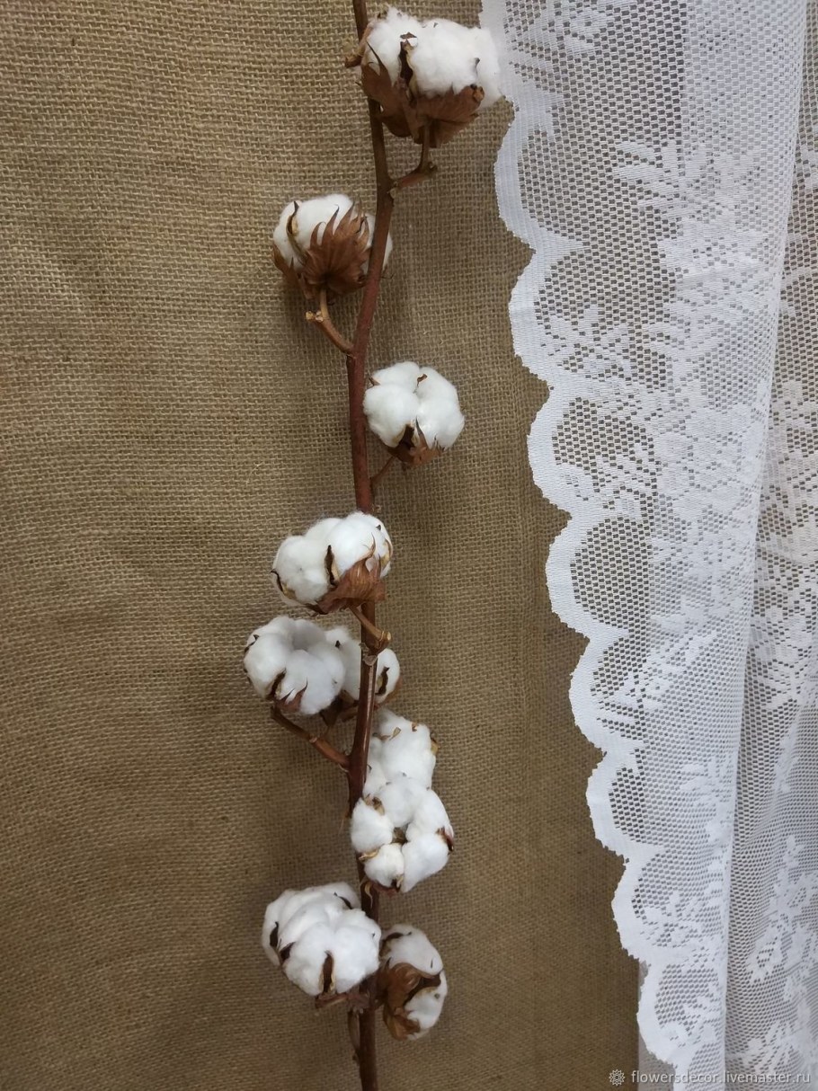 Декоративная ваза с хлопком