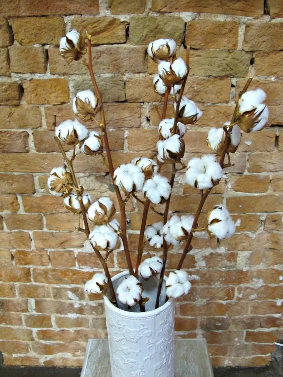 Сухоцветы в интерьере