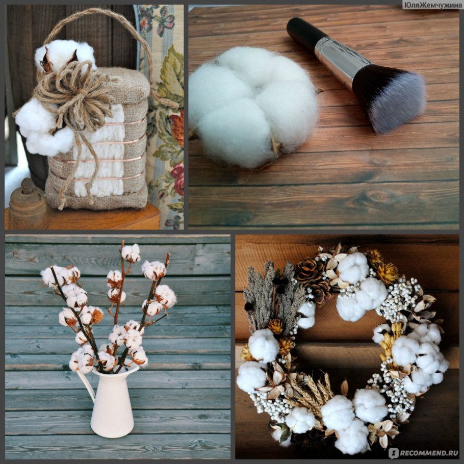 Фотообои хлопок