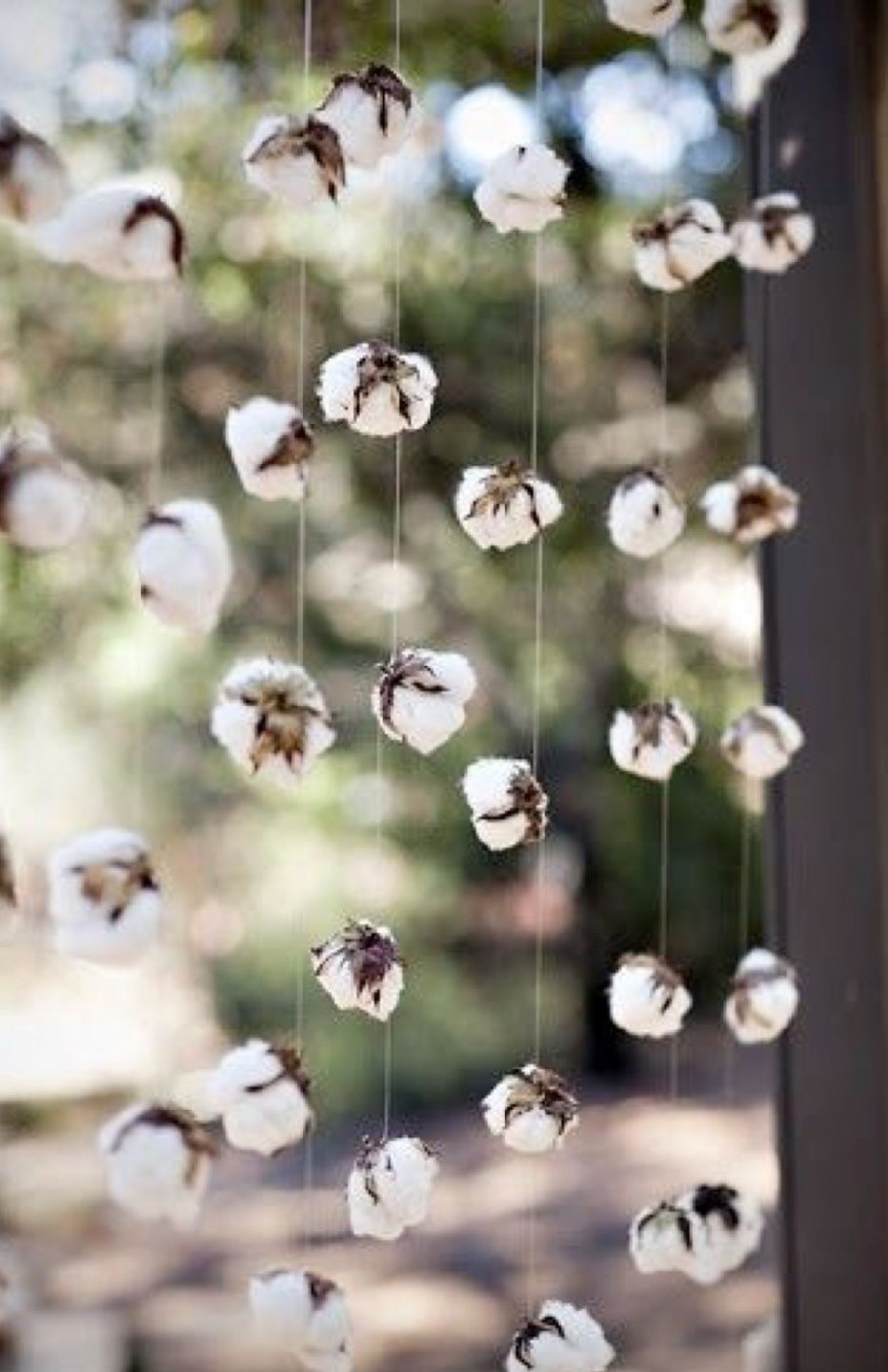 Хлопок в вазе