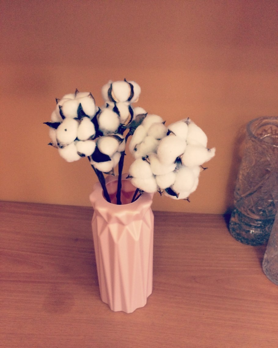 Веточка хлопка