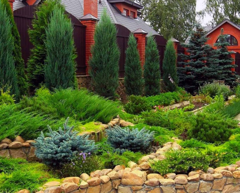 Альпийская горка миксбордер