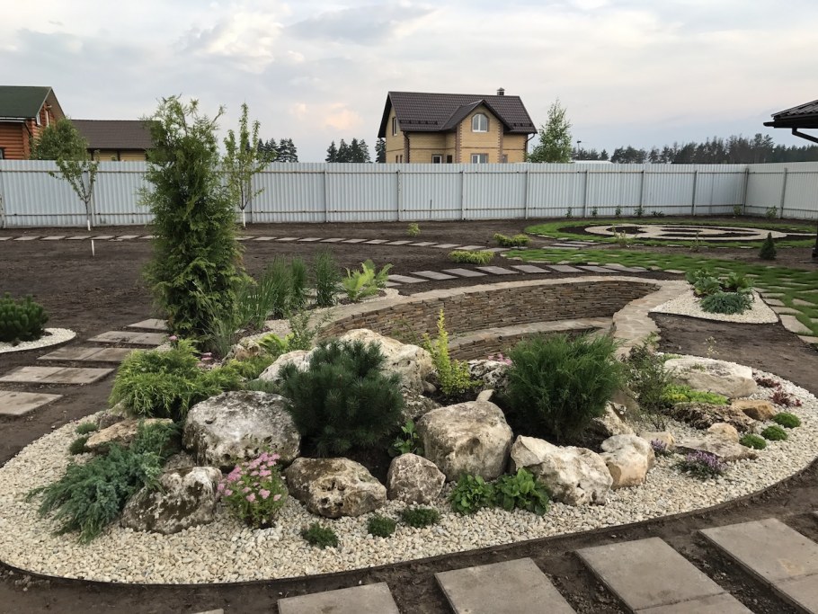 Кизильник рокарий