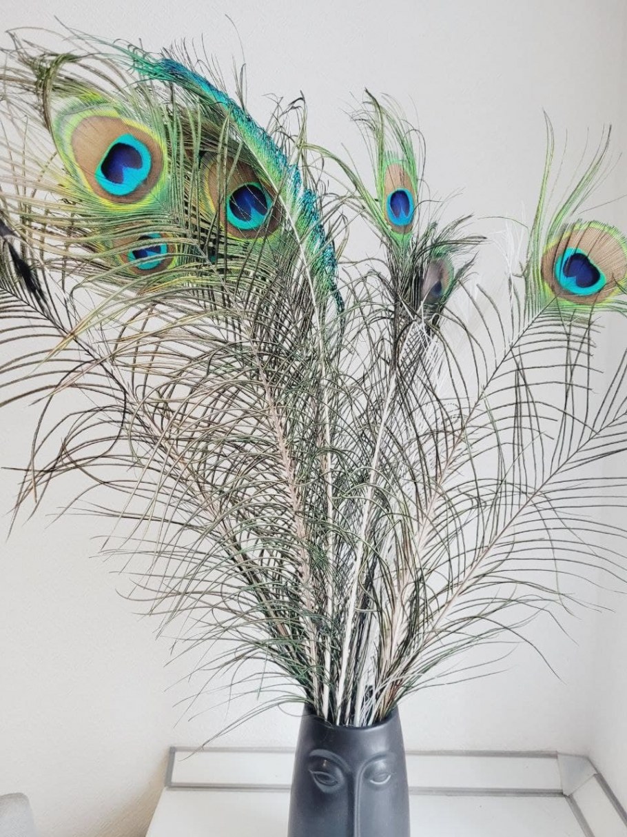 Перо павлина 85 см