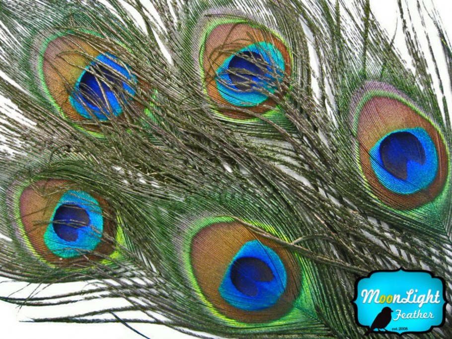 Veniard глазковые перья павлина Peacock Eye Top Dyed Blue