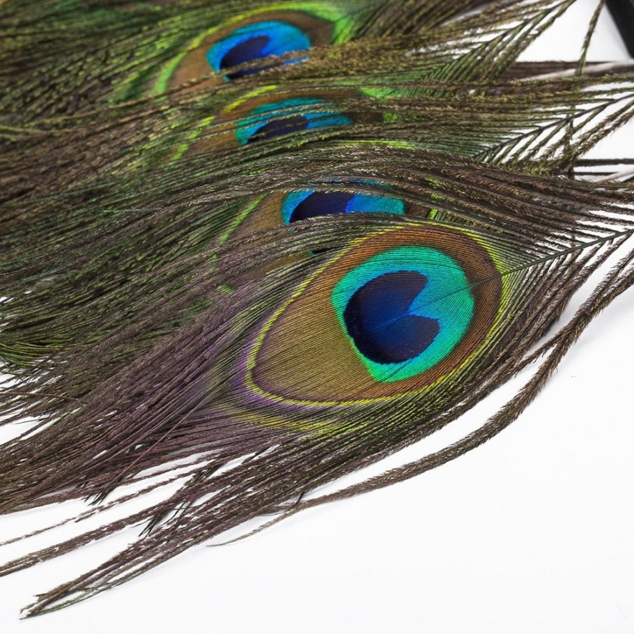 Перо павлина пегово