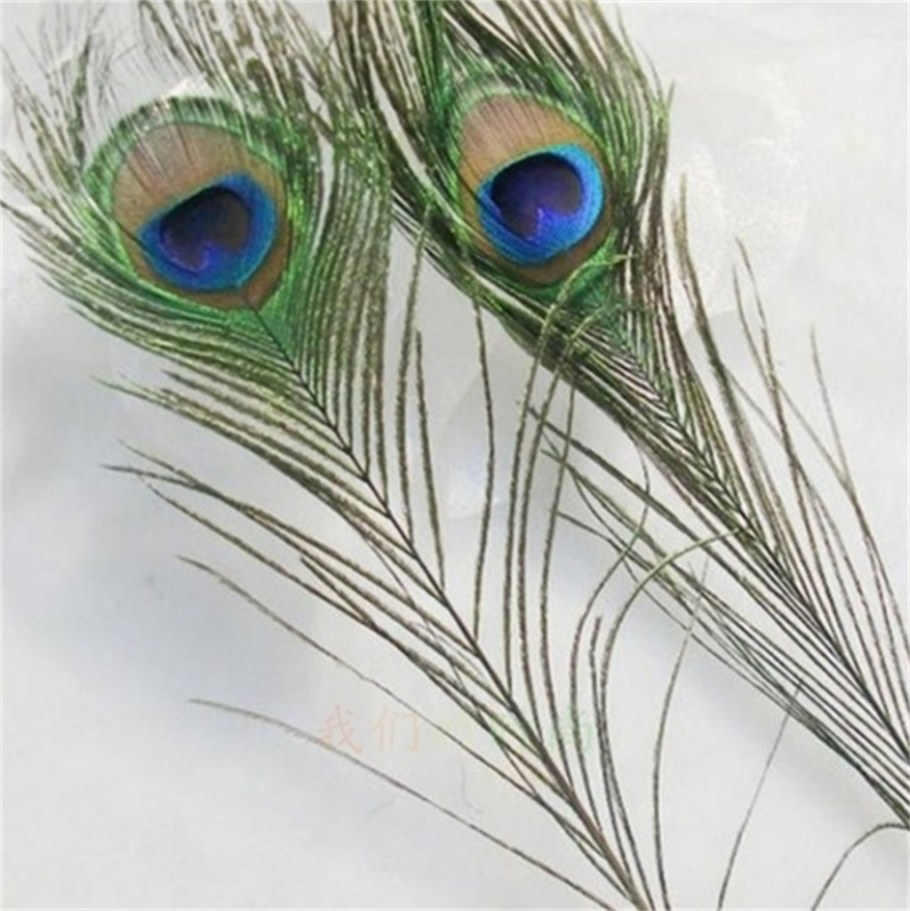Перья павлиньего фазана