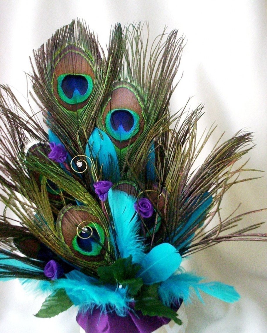 Павлинье перо на черном фоне