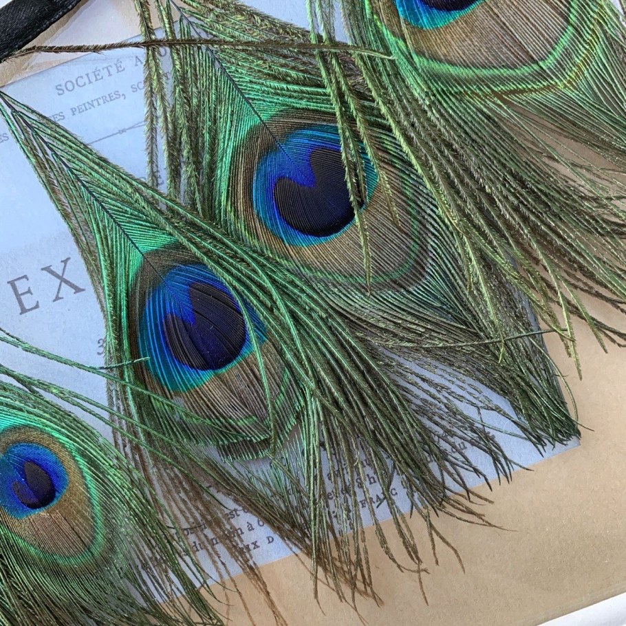 Перо павлина для декора