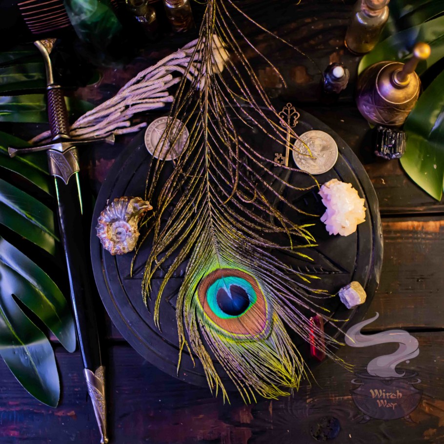 Перо павлина пегово