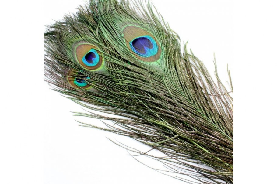 Люстра перо павлина e177695