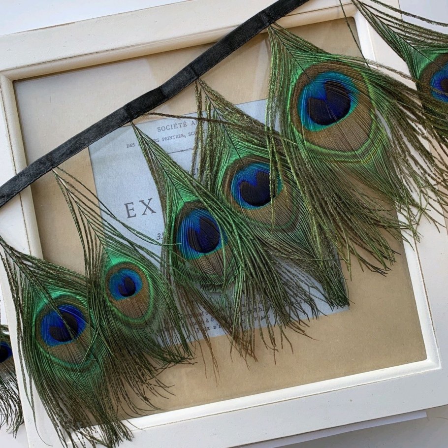 Фотообои перо павлина