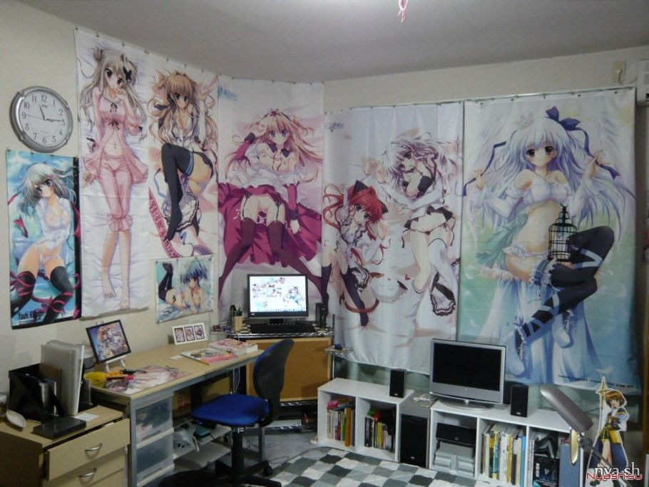 Отаку хикикомори