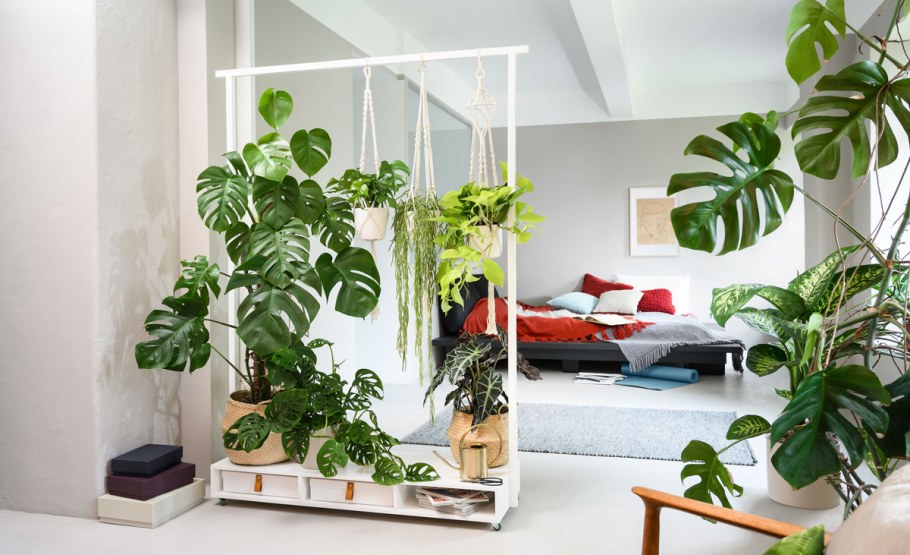 Перегородка для зонирования кухни и гостиной