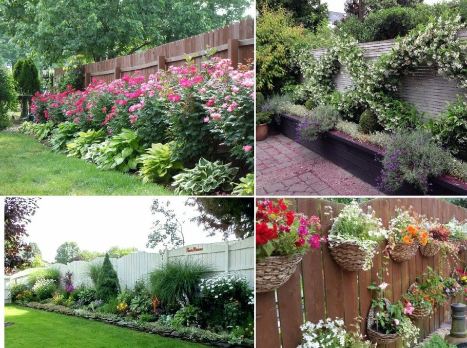 Однолетники вдоль забора