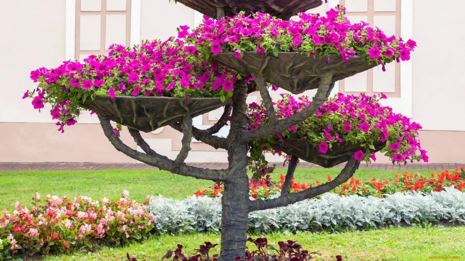 Штамбовая петуния