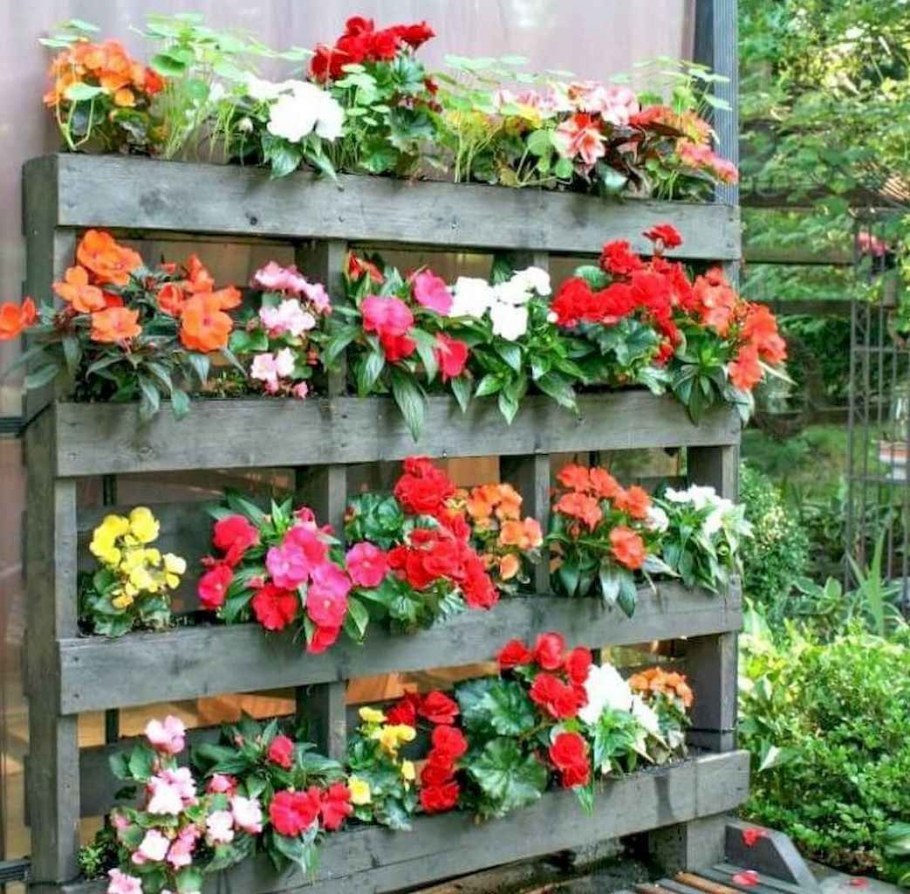 Цветы в ящиках на даче