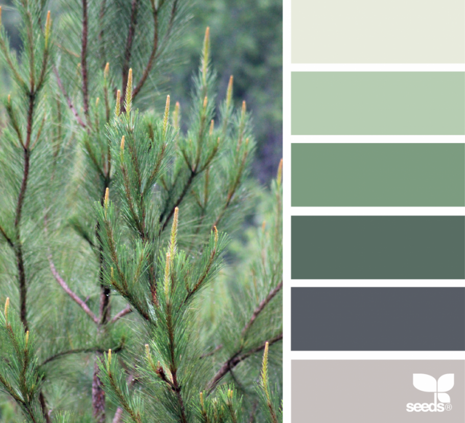 Хвойный цвет палитра