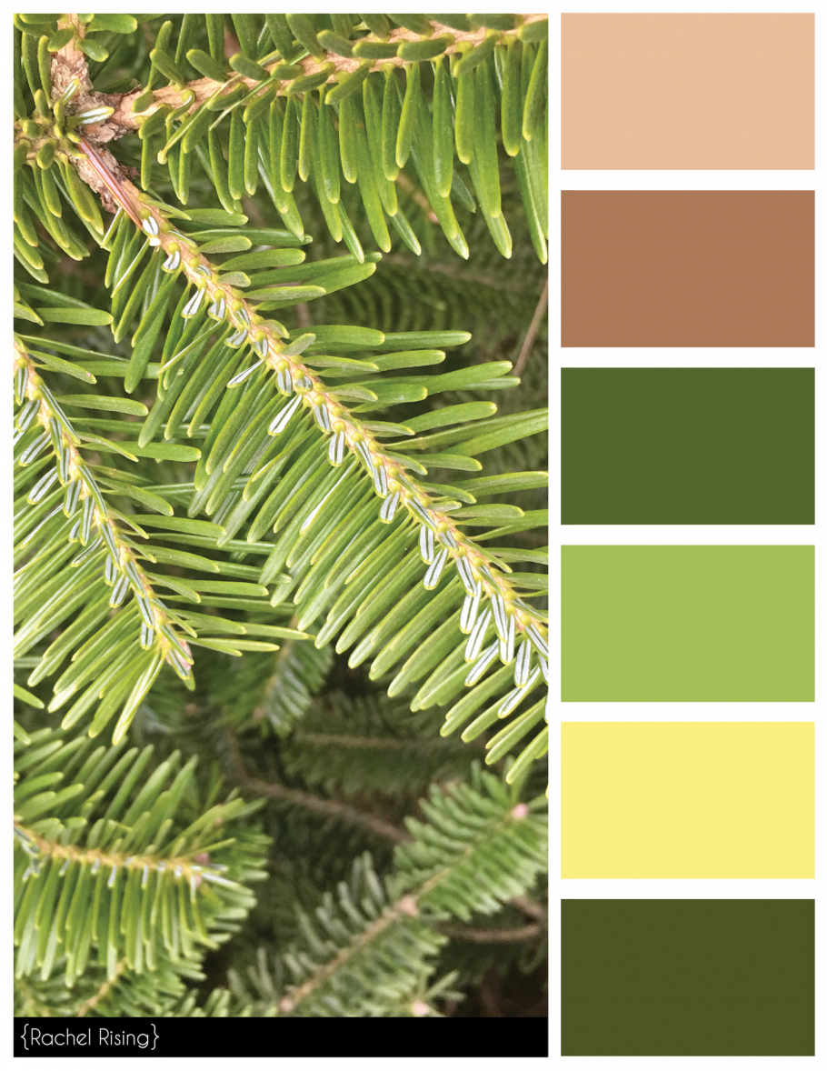 Еловый цвет палитра