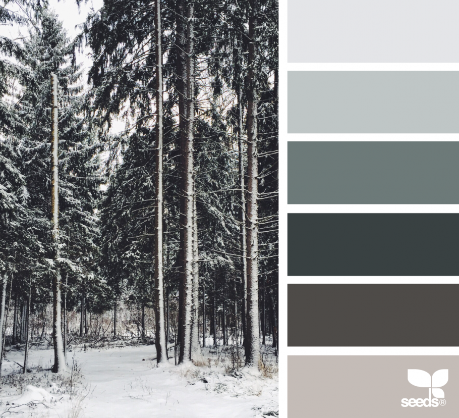 Тайга цветовая палитра