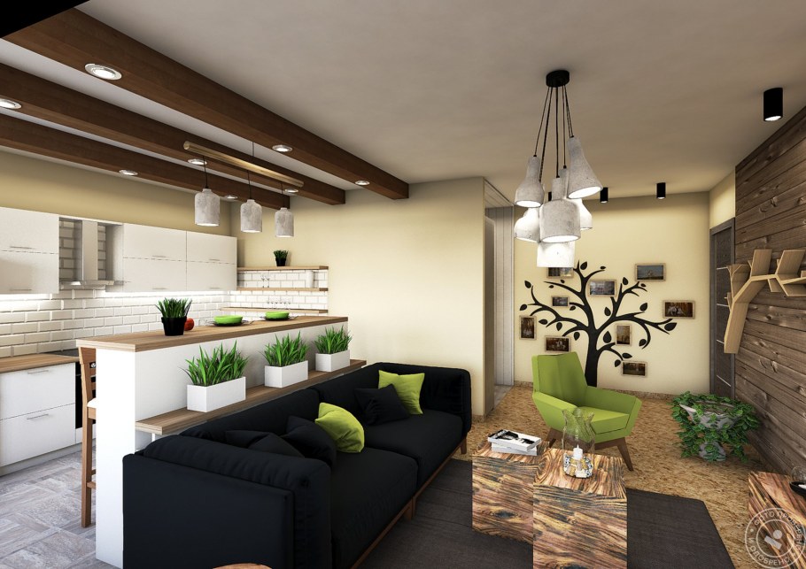 Кухня совмещенная с гостиной в эко стиле