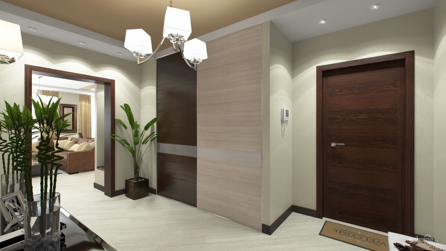 Темные двери в интерьере