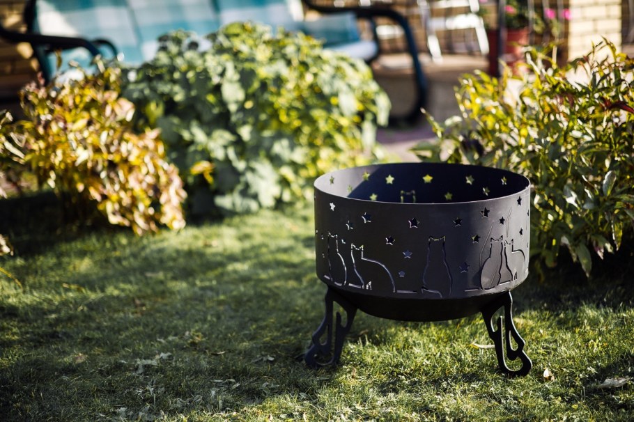 Костровая чаша коты