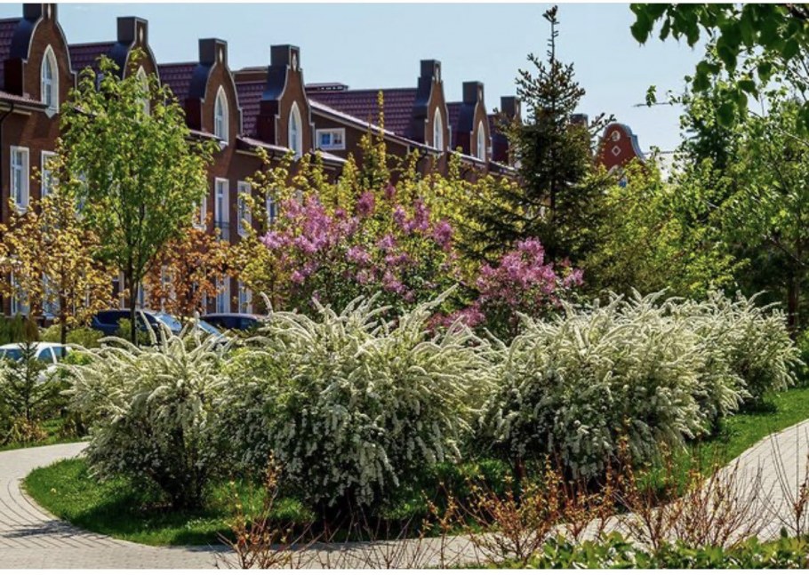 Квадрахаусы КП Кембридж