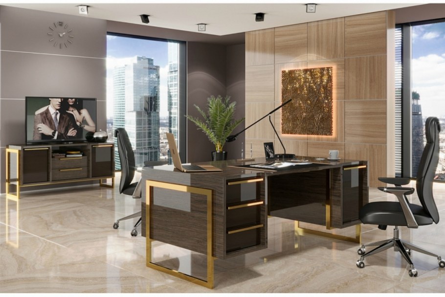 Кабинет руководителя Dioni