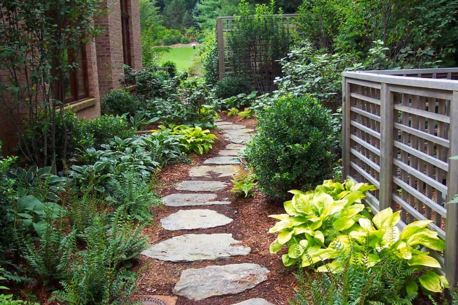 Бордюрные георгины рабаткуа