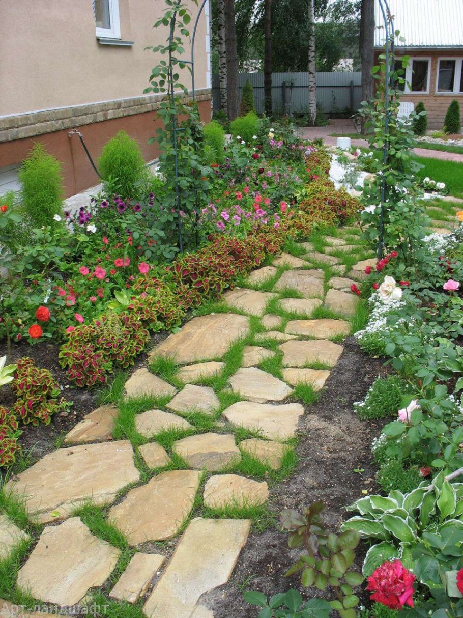 Оранжевый сад Игоря Степанова многолетники