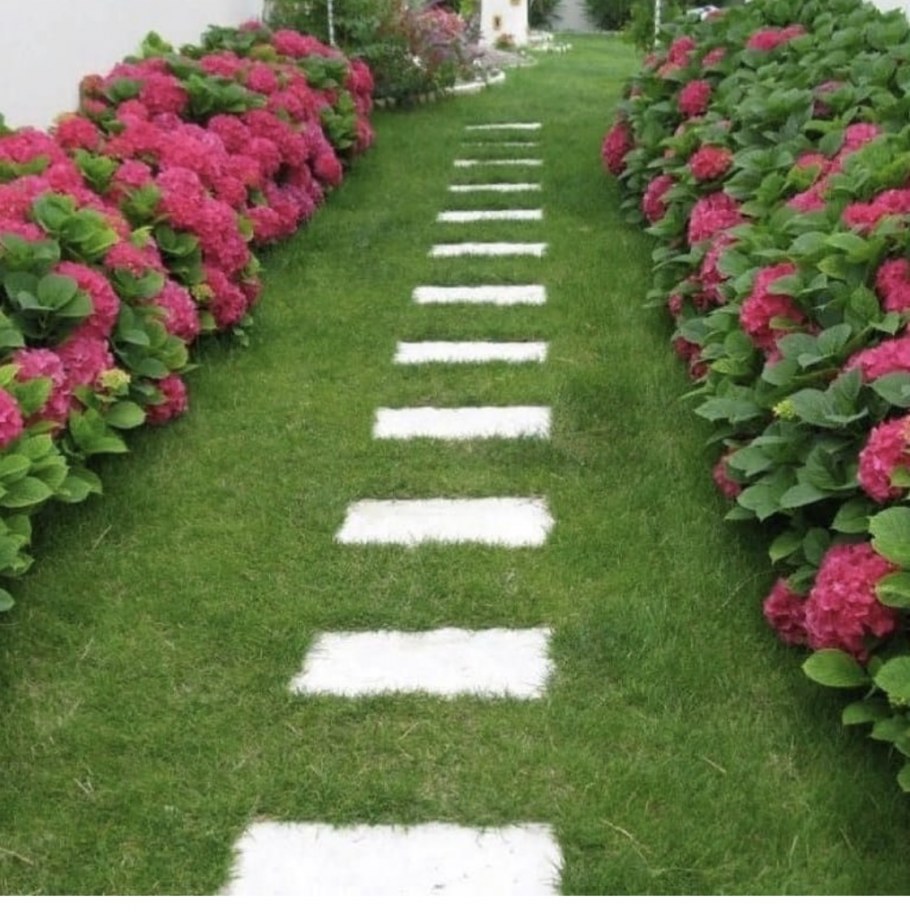 Миксбордер вокруг патио