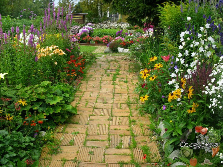 Миксбордер с бархатцами