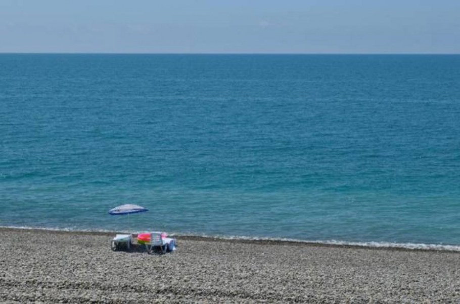 Волконка эллинг 71