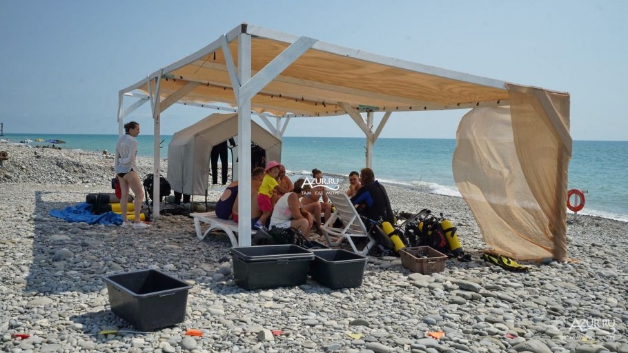 Волконка 2020