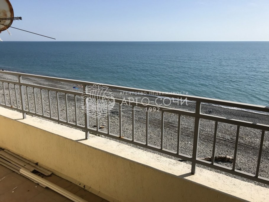 Волконка 2021