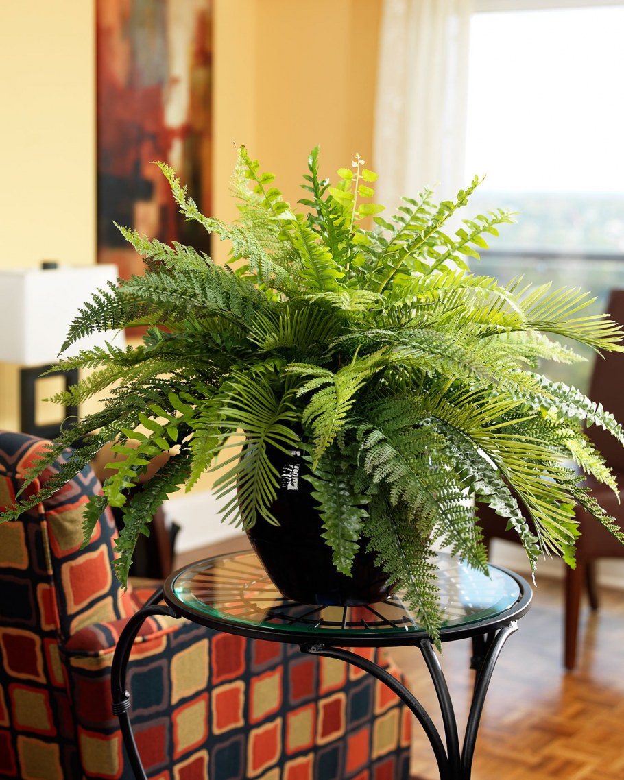 Искусственный папоротник нефролепис