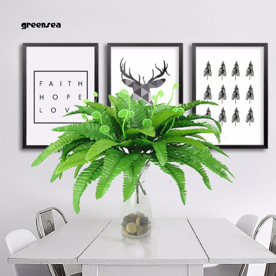 Папоротник нефролепис