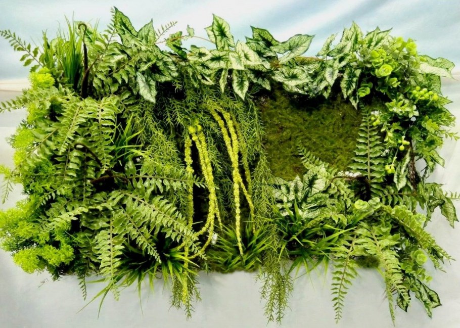 Папоротник в интерьере