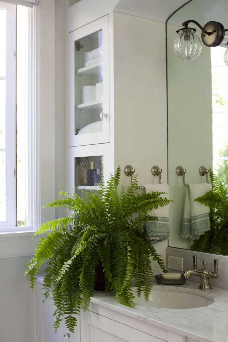 Фитостена джунгли