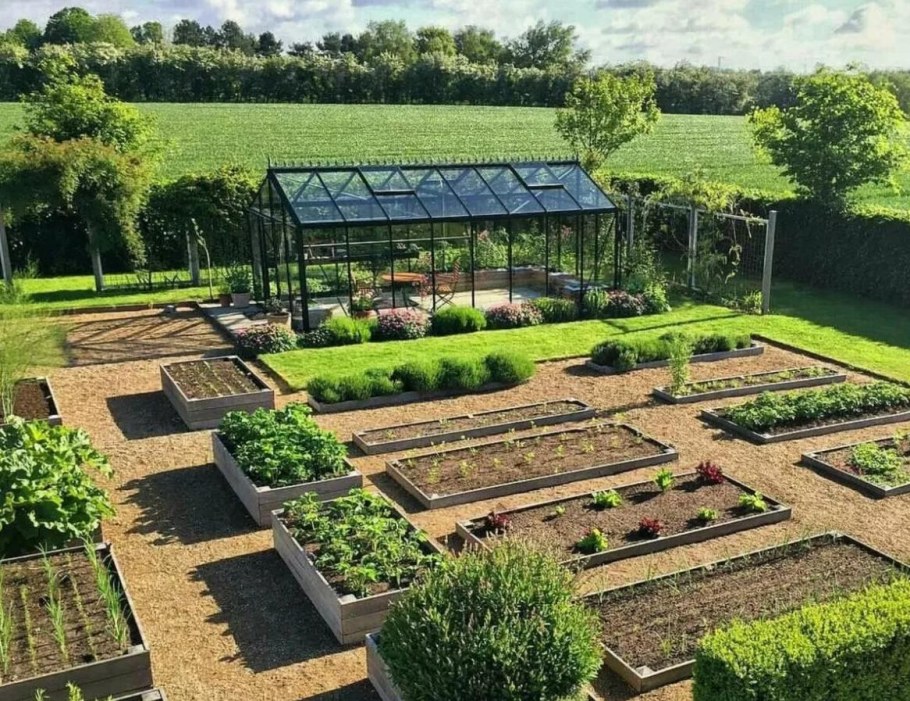 Красивые грядки