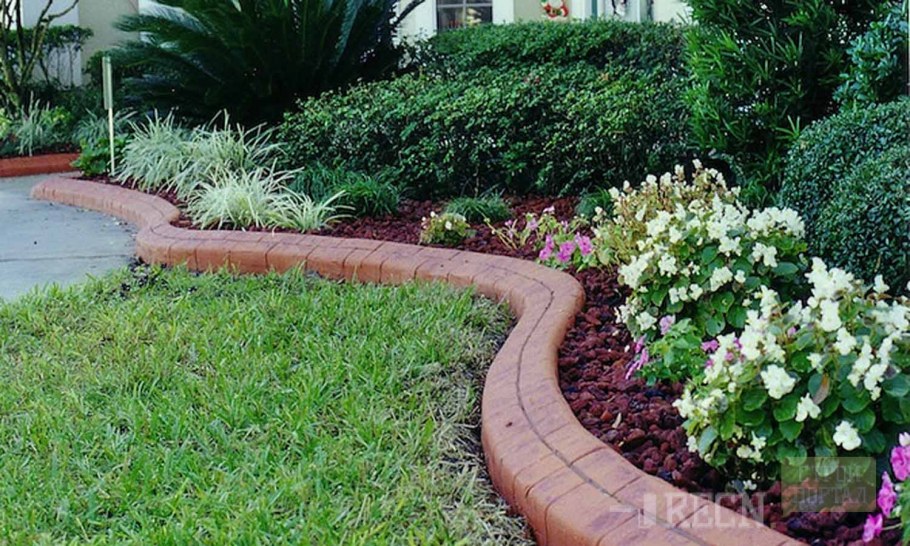 Лилейник рабатка рабатка