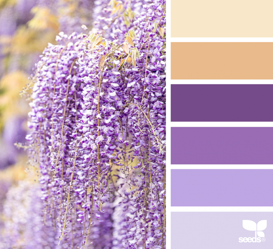 Палитра Сидс сирень