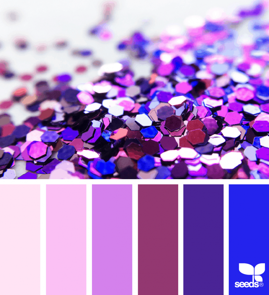 Фиолетовые цветы