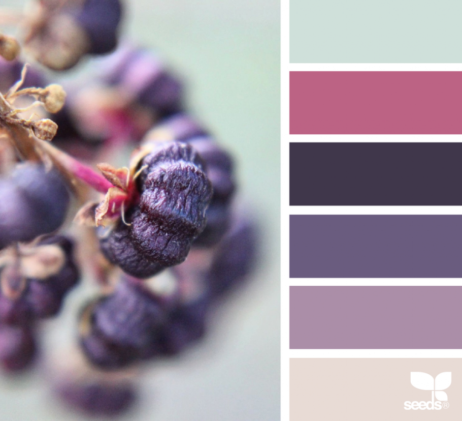 Сиреневый ЦМИК