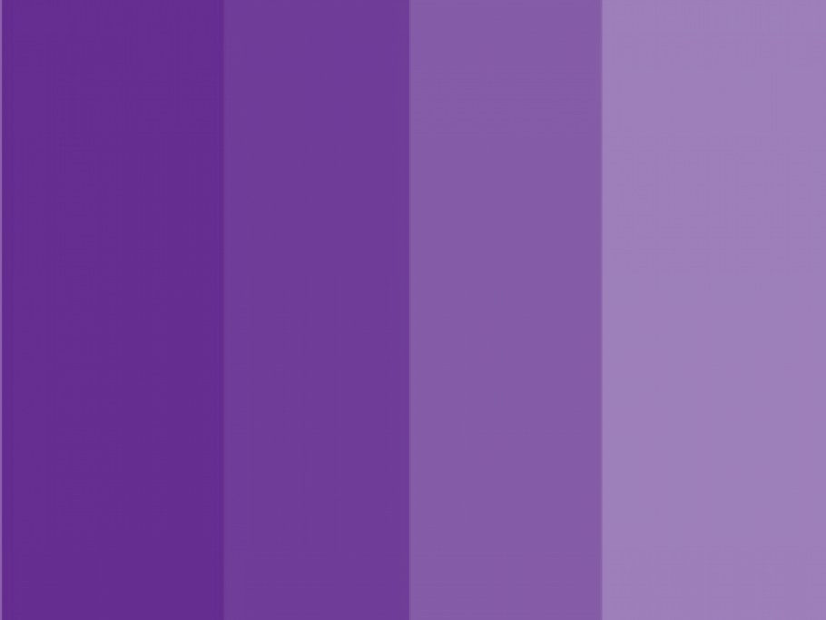 Палитры Сидс лиловый