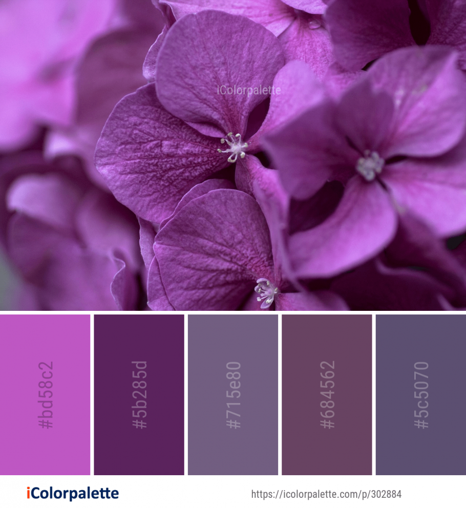 Фиолетовая спальня