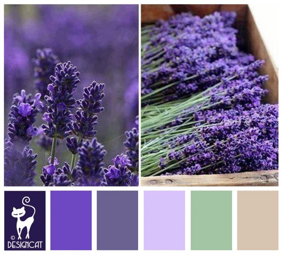 Палитра цветов фиолетовый